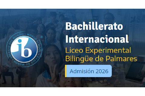 IB Palmares
